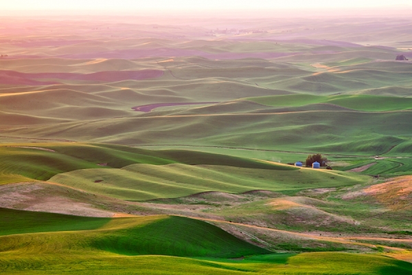 Palouse Farmland by Jamie