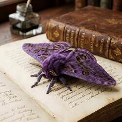 butterfly-maria-stankevich