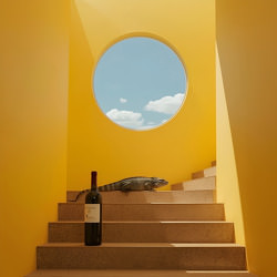 iguana-wine-alexander-v-kuznetsov