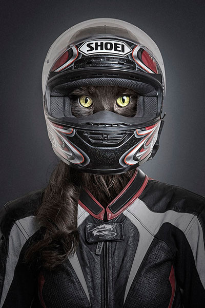 Photograph Sebastian Magnani Undercats on One Eyeland