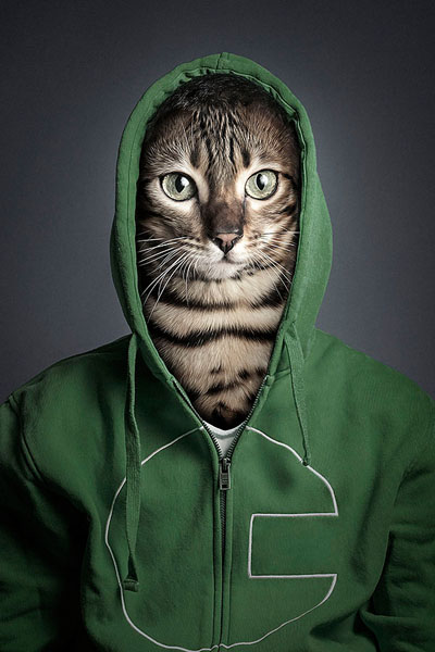 Photograph Sebastian Magnani Undercats on One Eyeland