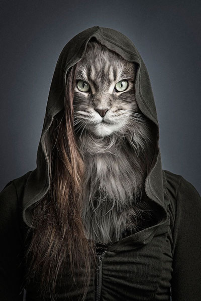 Photograph Sebastian Magnani Undercats on One Eyeland