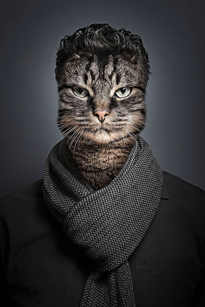 Photograph Sebastian Magnani Undercats on One Eyeland