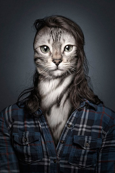 Photograph Sebastian Magnani Undercats on One Eyeland