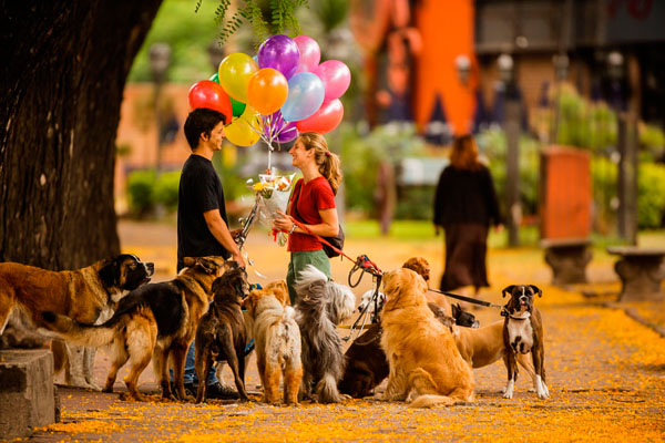 Photograph Patrick Bennett Dogwalkers Of Buenos Aires on One Eyeland