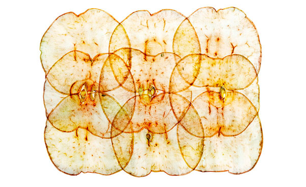 Photograph David Bishop Dried Granny Smith Apple Slices on One Eyeland