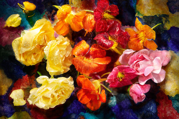 Photograph David Bishop Edible Flowers_nastursium And Roses on One Eyeland