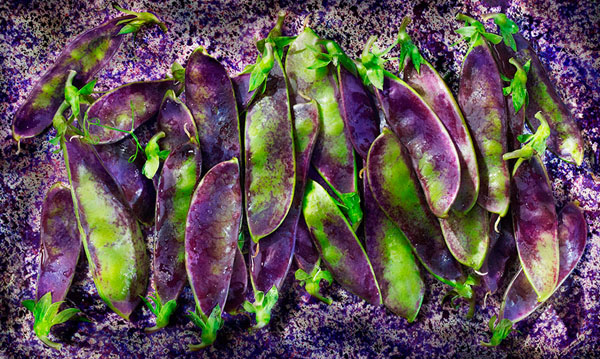 Photograph David Bishop Midnight Snow Peas on One Eyeland