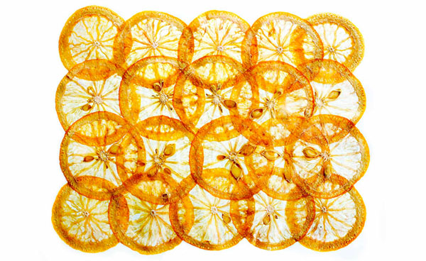 Photograph David Bishop Dried Orange Slices on One Eyeland