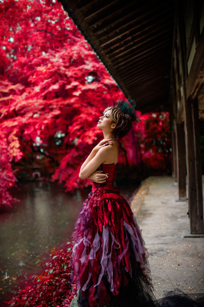 Photograph Haseo Hasegawa Autumn Leaves on One Eyeland