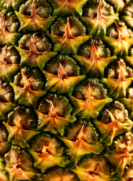 Photograph David Bishop Pineapple Snow Angels on One Eyeland