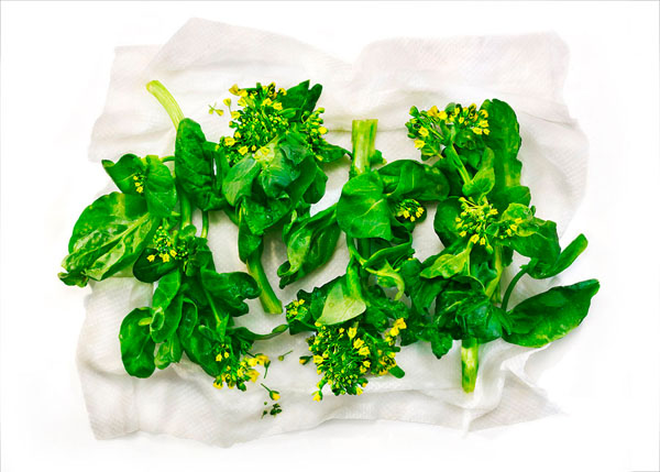 Photograph David Bishop Edible Flowers_rapini on One Eyeland