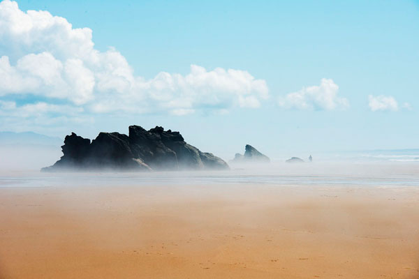 Photograph Laura Barisonzi Oregon Foggy Coast 1 on One Eyeland