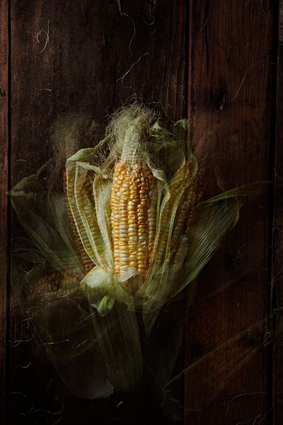 Photograph Bene Tan The Golden Ratio on One Eyeland