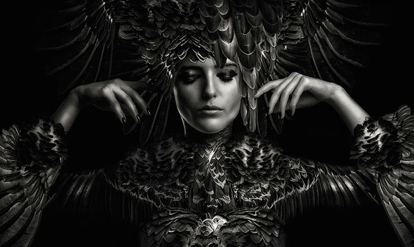 Photograph Lee Howell Beaute Aviaire Vulture Goddess on One Eyeland