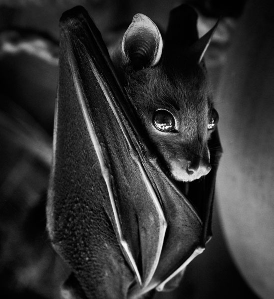 Photograph Siddhartha Nayanananda Gooddaysleep on One Eyeland