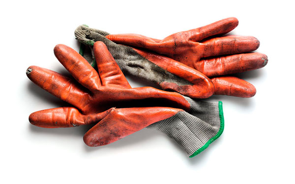 Photograph Mark Wiens Rubber Gloves on One Eyeland