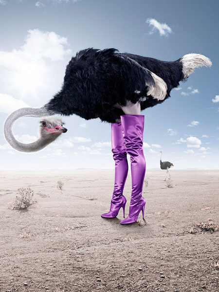 Photograph Andreas Fitzner Ostrich on One Eyeland