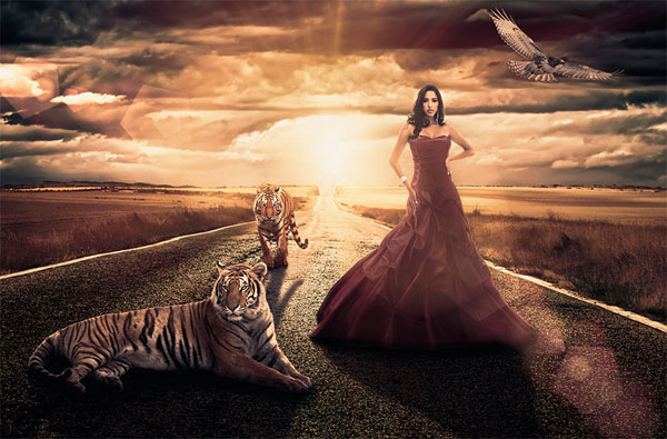 Photograph Jackson Carvalho Queen Of The Tigers on One Eyeland