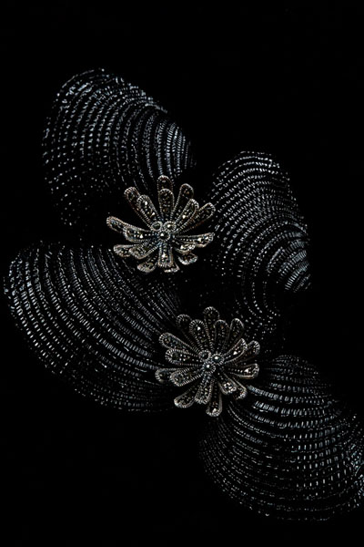 Photograph Hannah Caldwell Shells on One Eyeland