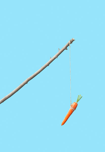 Photograph Chris Robinson Vegetable on One Eyeland