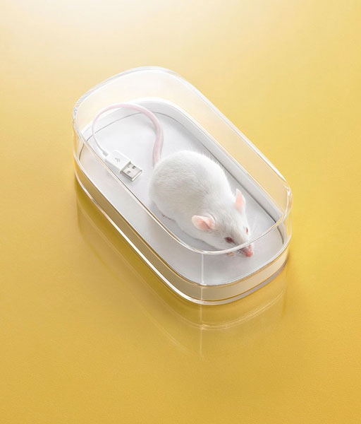 Photograph Glen Gyssler Usb Mouse on One Eyeland