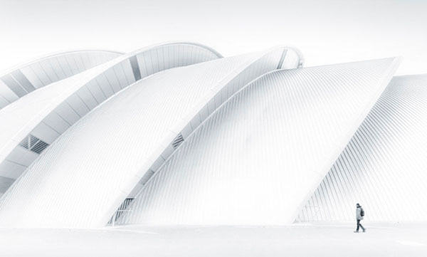 Photograph Jose Conceptes Armadillo on One Eyeland