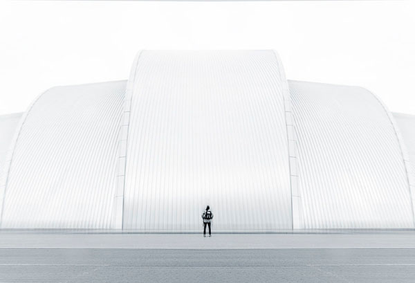 Photograph Jose Conceptes Armadillo Ii on One Eyeland