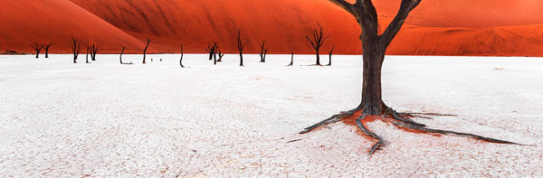 Photograph Anette Mossbacher White And Red on One Eyeland