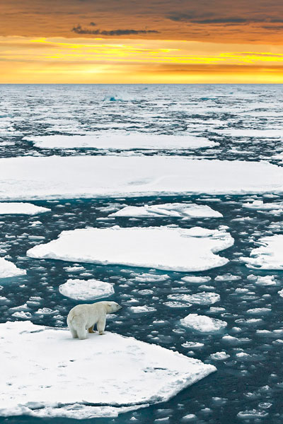 Photograph Anette Mossbacher What Will The Future Hold on One Eyeland