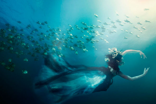 Photograph George Kamper Swimming With A School on One Eyeland