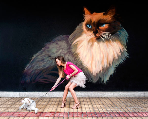 Photograph Leo Botana Beware Of The Cat on One Eyeland