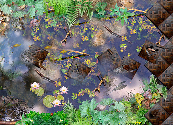 Photograph Emily Campbell Beneath The Surface 2 on One Eyeland