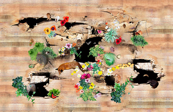 Photograph Emily Campbell Beneath The Surface 3 on One Eyeland