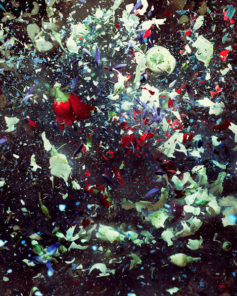 Photograph Jonathan Knowles Exploding Flowers on One Eyeland