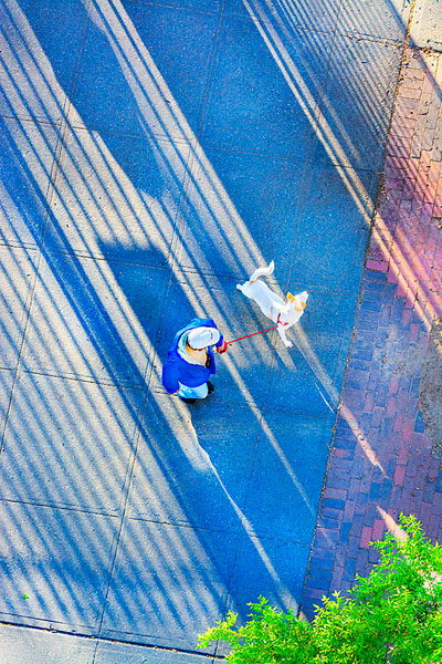 Photograph Mitchell Funk White Dog on One Eyeland