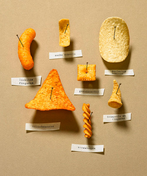 Photograph Glen Gyssler Junk Food Specimen on One Eyeland