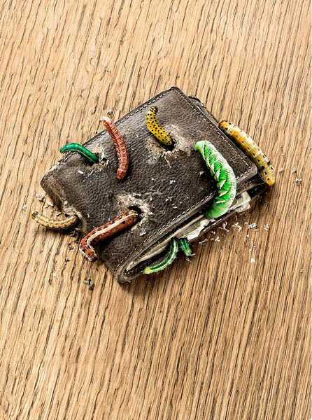 Photograph Glen Gyssler Wallet on One Eyeland