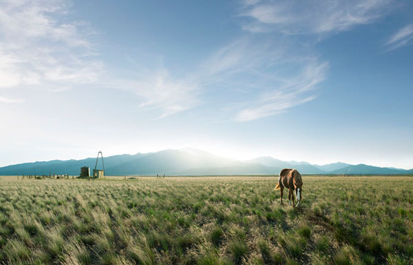 Photograph David Stinson Horse 3 on One Eyeland