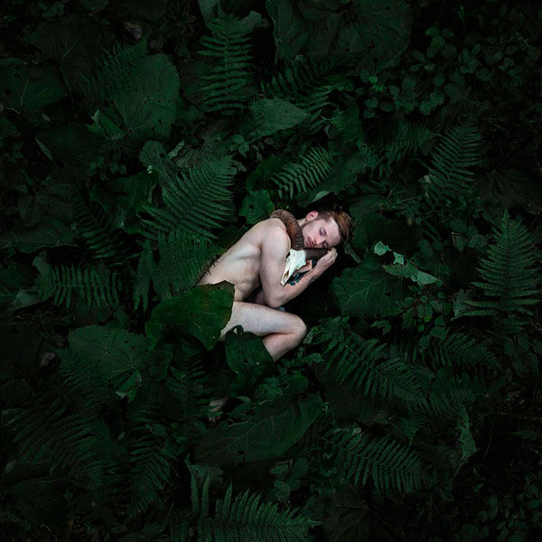 Photograph Michal Zahornacky Back To Nature on One Eyeland