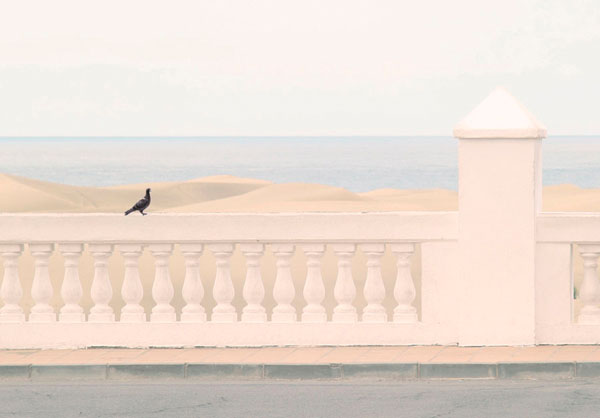 Photograph Svetlana Shelestina Sand on One Eyeland
