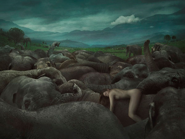 Photograph Nikolina Petolas The Herd on One Eyeland