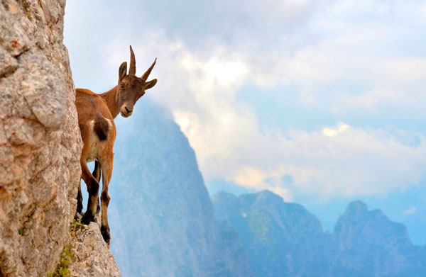 Photograph Stefano Zocca Catch Me If You Can on One Eyeland