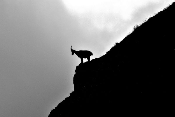 Photograph Stefano Zocca Before Jumping on One Eyeland