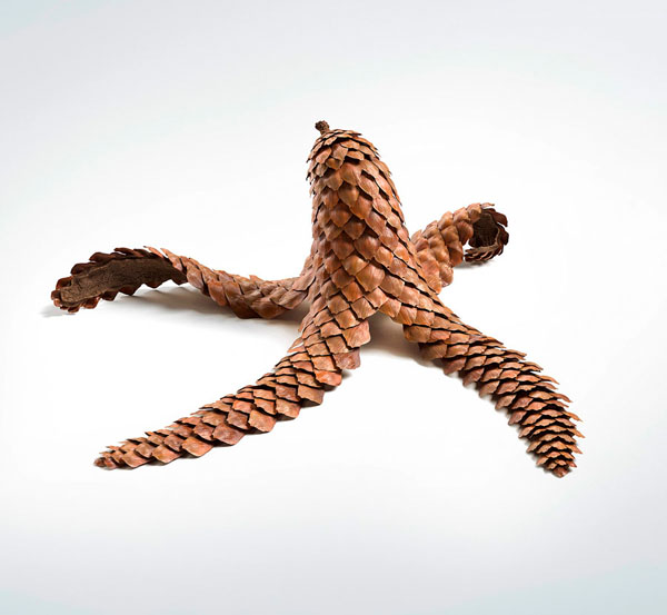 Photograph Staudinger Franke Banana Cone on One Eyeland