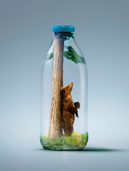 Photograph Paul Lang Bear on One Eyeland