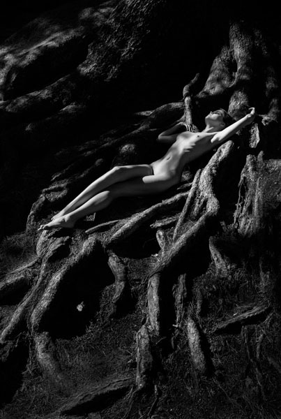 Photograph Alexander Kamakaev Roots on One Eyeland