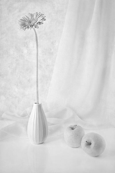 Photograph Candela Mora La Gervera Ascendente on One Eyeland