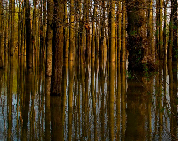 Photograph Imre Kenez Flood on One Eyeland