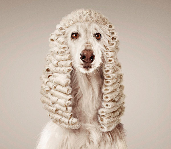 Photograph Staudinger Franke If Animals Could Judge on One Eyeland